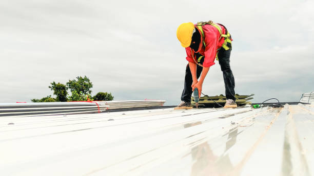 Best Sheet Metal Roofing  in Stone Ridge, VA